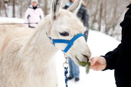 15391488 642103512639243 2282162470467045448 o