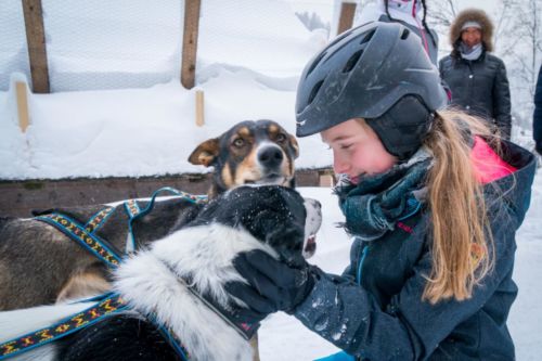 17192459 684835035032757 1087704375446437233 o