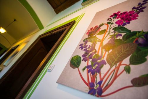 26757241 826901424159450 2610544377480508055 o