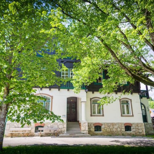 26952430 826901290826130 294971956144103851 o