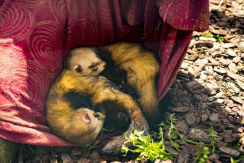 32082318 884419921740933 4876908834595012608 o