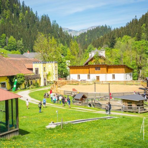 34531449 897748430408082 2199377371310587904 o