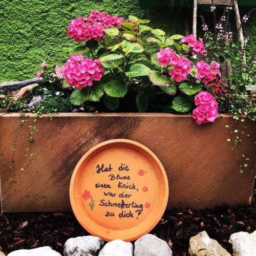 34792644 898789770303948 6417296149476016128 o