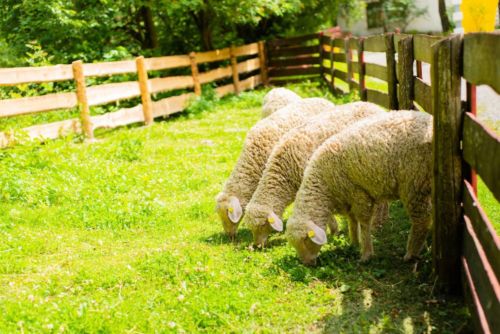 36137553 911871298995795 35068249058050048 o