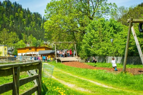 36592308 920768831439375 4545635752196702208 o