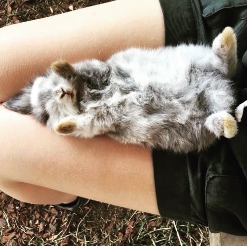 36786470 925600577622867 890028884290961408 n