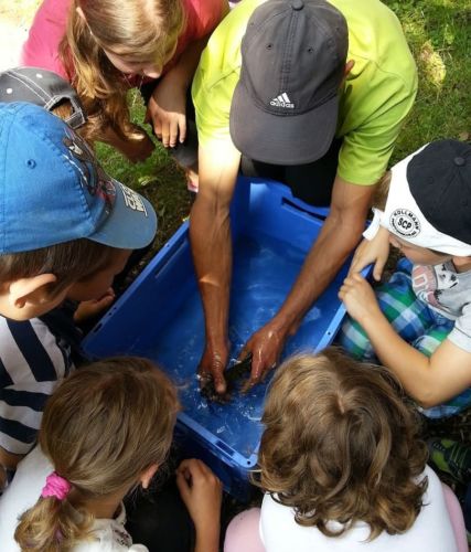 37994143 947294572120134 4422260501631729664 n