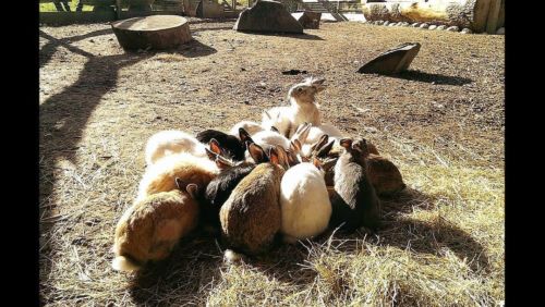 41667446 986412971541627 8936522496983695360 o