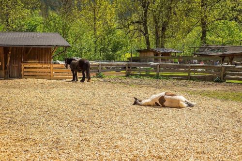 43083442 997447987104792 1753293422178861056 o