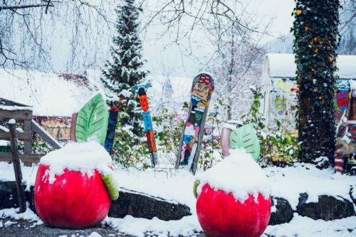 46494634 1024402967742627 9111378243465773056 o