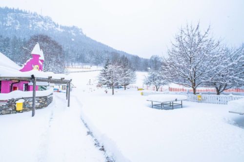 47686429 1037946083054982 1585529899358093312 o