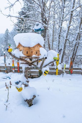 48123036 1037945563055034 3948947288772050944 o