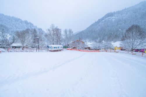 48173017 1037945703055020 7227246326310764544 o