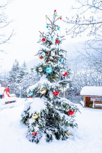 48175136 1037946266388297 6330000947774750720 o