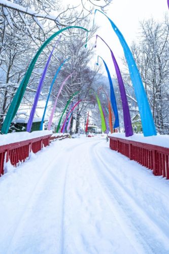 48194100 1037945333055057 5955955157953937408 o