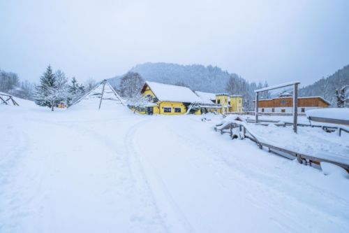 48255979 1037945933054997 6736986074444201984 o