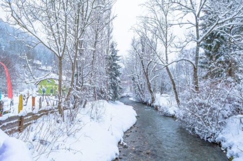 48369082 1037945529721704 6404818891524014080 o