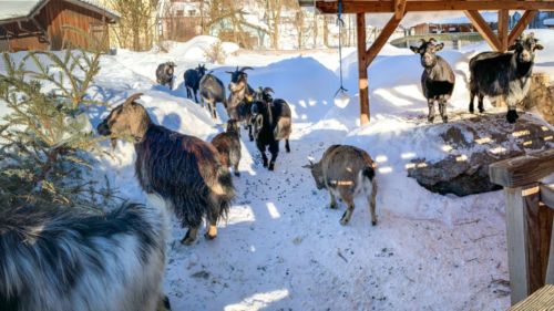 49403673 1060747574108166 2047249900269207552 o