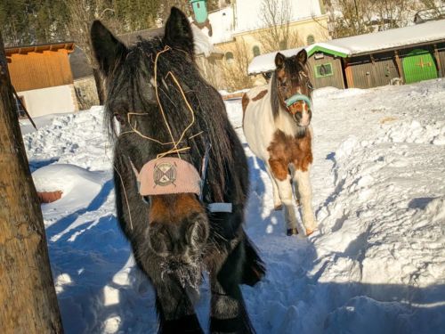 50614280 1060747707441486 4637060251420459008 o